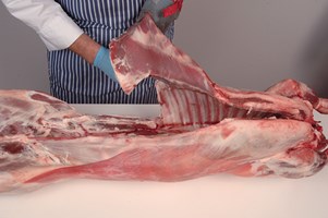 Meat Cut Spec Step 4